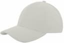 Heavy Brushed Cap