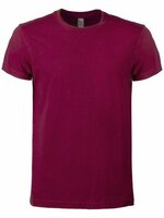 BS Evolution TShirt 150 grm