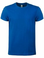 BS Evolution TShirt 150 grm