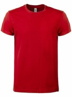 BS Evolution TShirt 150 grm