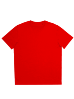 BS Stranger TShirt 180 gm