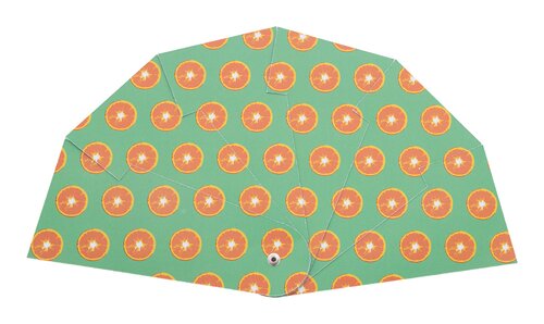 Folbreeze Indiviueller Handfächer