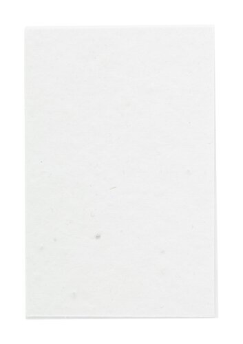 CreaStick Seed Combo B Individueller Haftnotizblock
