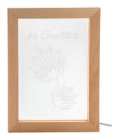 natur  /  transparent