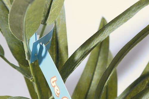 PlantTag Individuelle Pflanzetiketten