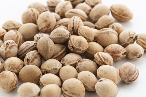 PitHeat Ear Kirschkernkissen