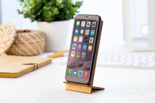 Fargesia Handyhalter