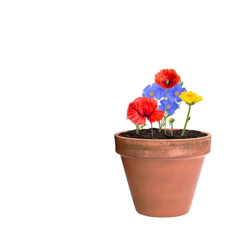 Flobba Samenkugel