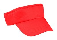 Volley Sunvisor