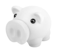 Oiban Sparschwein