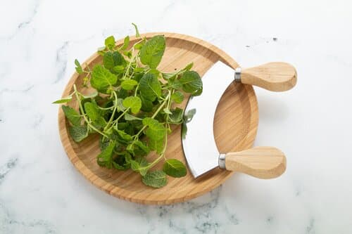 Tabbouleh Kräuter-Schneideset