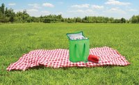 Fridrate Kühltasche