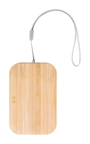 Cabsly Plus Ladegerät-Set