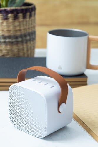 Rabeat RABS Funklautsprecher