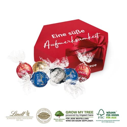 SÜßE PRÄSENTBOX „MAXI” - Pralinés von Lindt Lindor