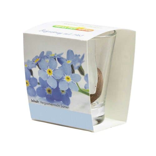 Caffeino-Glas mit Samen