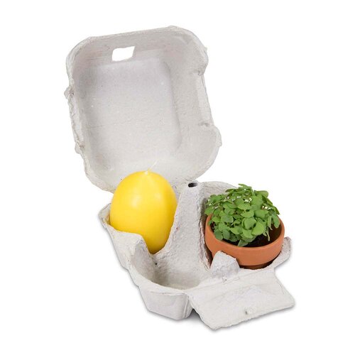 Das Gelbe vom Ei