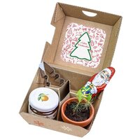 GeschenkSet Xmas  Standardmotiv