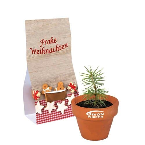 Logo-Töpfchen Überreichverpackung mit Samen