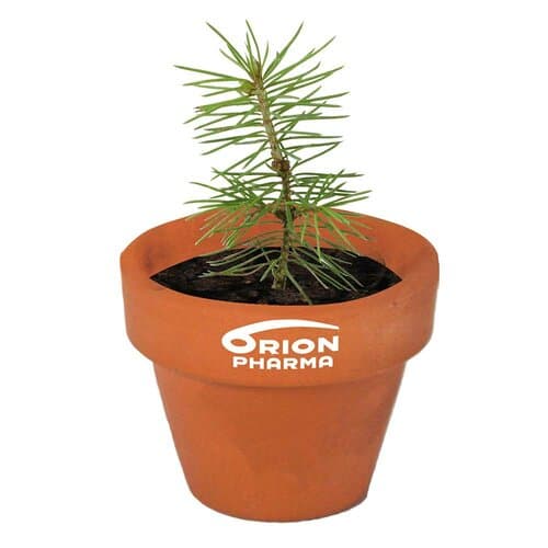 Logo-Töpfchen Überreichverpackung mit Samen