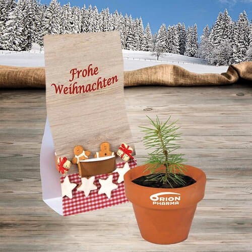 Logo-Töpfchen Überreichverpackung mit Samen