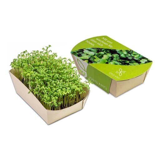 Microgreens-Gärtchen