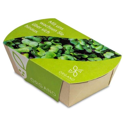 Microgreens-Gärtchen