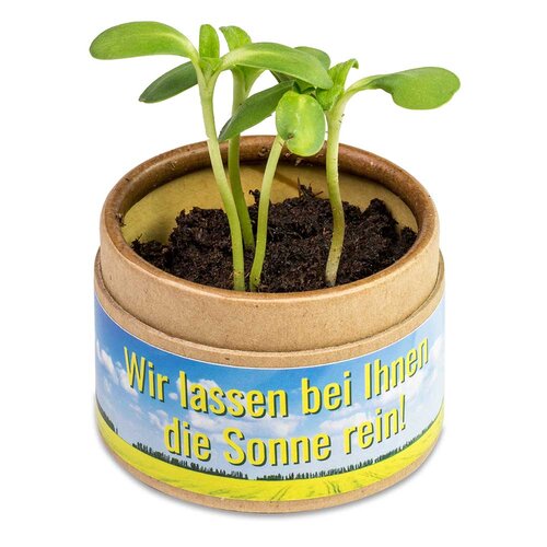 Pflanz-Cup mit Samen