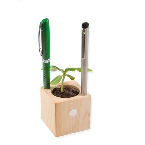 Pflanz-Holz Büro Xmas mit Fichtensamen