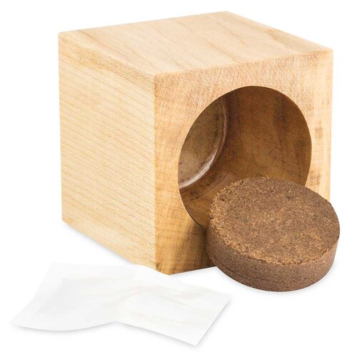 Pflanz-Holz Star-Box mit Samen