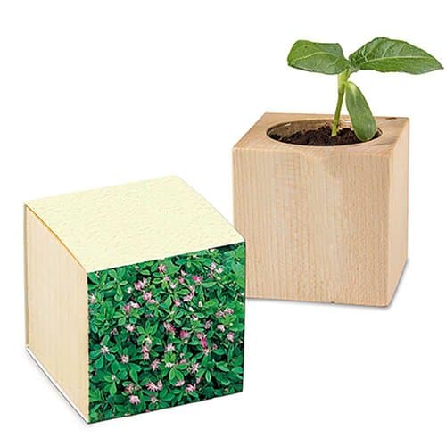 Pflanz-Holz mit Samen (Graspapier-Banderole)