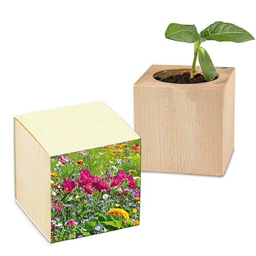 Pflanz-Holz mit Samen (Graspapier-Banderole)