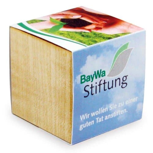 Pflanz-Holz Magnet mit Samen