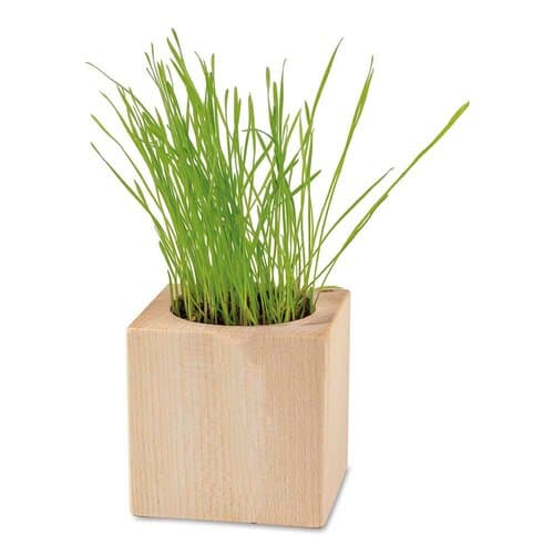 Pflanz-Holz - Standardmotiv - Ostern