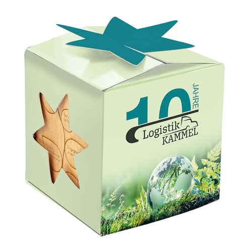 Pflanz-Holz Star-Box mit Samen