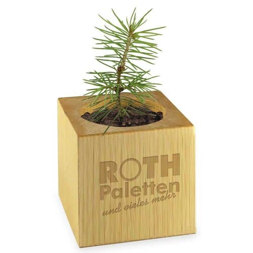 Pflanz-Holz - Standardmotiv - Frohe Weihnachten