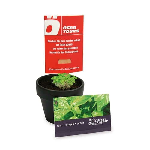 Pflanz-Stick mit Samen