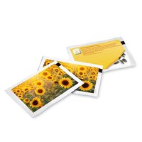 SamenBriefchen  Standardmotiv  Sonnenblume