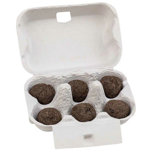 Sixpack - Flower-Balls Midi mit Samen