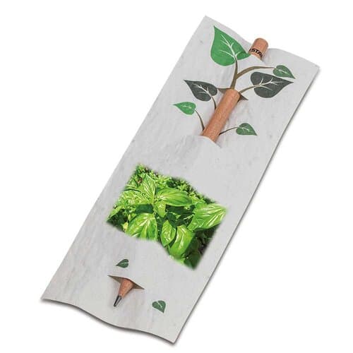 Bleistift im Samenpapieretui