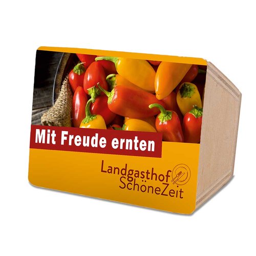Mini-Beet mit Samen