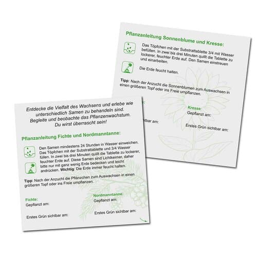 Pflanzen-Mix Winter-Set