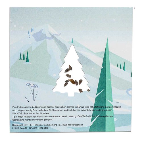 Samen-Karte Tannenbaum
