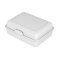 Vorratsdose SchoolBox groß mit Trennschale