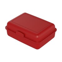 Vorratsdose SchoolBox groß mit Trennschale