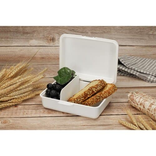 Vorratsdose "School-Box" groß, mit Trennschale