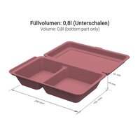 Menübox "ToGo" medium