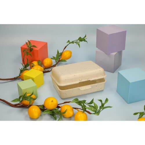 Vorratsdose "School-Box" groß, ISCC-zertifiziert