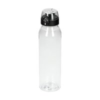 Trinkflasche Active Oasis 650 ml