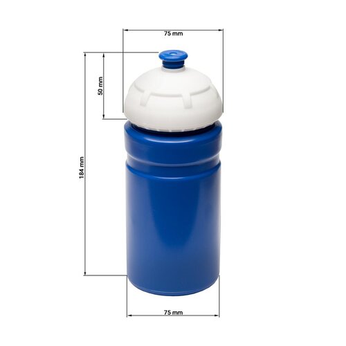 Trinkflasche "Champion" 0,55 l